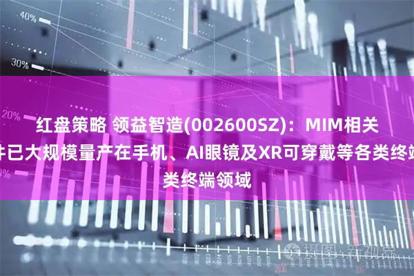 红盘策略 领益智造(002600SZ)：MIM相关精密件已大规模量产在手机、AI眼镜及XR可穿戴等各类终端领域